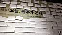 51845ske042.jpg: ??i