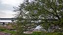 bdgrgmg09-001.jpg