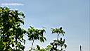 dasi5y79-005.jpg: ?YL r