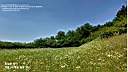 guredowurin11-080.jpg