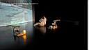 nextdaynoul4-036.jpg