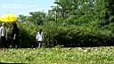 pdream001-127.jpg