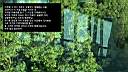 pdream010-041.jpg
