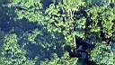pdream010-043.jpg