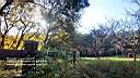 pdream011-009.jpg