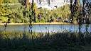 pdream011-019.jpg