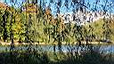 pdream011-021.jpg