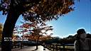 pdream011-057.jpg