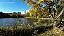 pdream011-058.jpg