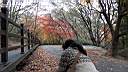 pdream012-009.jpg:  ?Xq
