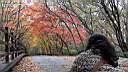 pdream012-010.jpg: <?Xq