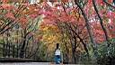 pdream012-011.jpg:  ?Xq