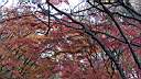 pdream012-013.jpg:  ?Xq