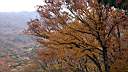 pdream012-017.jpg:  ?Xq
