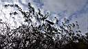 pdream012-025.jpg:  ?Xq