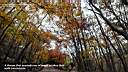 pdream012-027.jpg: 짭?Xq