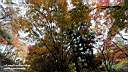pdream012-028.jpg: <?Xq
