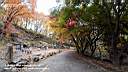 pdream012-029.jpg: 짭?Xq
