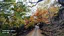 pdream012-034.jpg: <?Xq