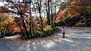 pdream012-051.jpg: 짭?Xq