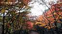 pdream012-053.jpg: 짭?Xq