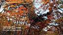 pdream012-055.jpg: 짭?Xq