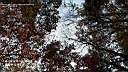 pdream012-059.jpg: 짭?Xq