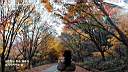pdream012-061.jpg: 짭?Xq