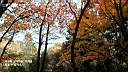 pdream012-062.jpg: <?Xq