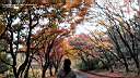 pdream012-063.jpg: ?^Xq