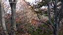 pdream012-068.jpg: ?Xq