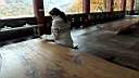 pdream012-079.jpg: 짭?Xq