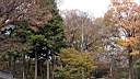 pdream012-083.jpg: 짭?Xq
