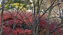 pdream012-085.jpg:  ?Xq