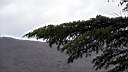 pdream012-087.jpg:  ?Xq