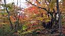 pdream012-088.jpg: ?Xq