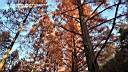 pdream013-010.jpg