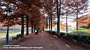 pdream013-036.jpg