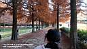 pdream013-039.jpg