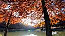 pdream013-074.jpg