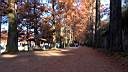 pdream013-086.jpg
